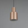 Κρεμαστό Φωτιστικό Σποτ Καφέ AGUDO 1x E27 Trio Lighting – 319400165