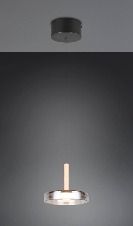 Κρεμαστό Μονόφωτο Ξύλο+Φιμέ Γυαλί CELESTE LED 10W 1100lm Step Dimmable 3000Κ Trio Lighting – 354910132