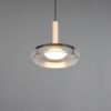 Κρεμαστό Μονόφωτο Ξύλο+Φιμέ Γυαλί CELESTE LED 10W 1100lm Step Dimmable 3000Κ Trio Lighting – 354910132