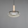 Κρεμαστό Μονόφωτο Ξύλο+Φιμέ Γυαλί CELESTE LED 10W 1100lm Step Dimmable 3000Κ Trio Lighting – 354910132