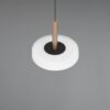 Κρεμαστό Μονόφωτο Καφέ+Λευκό Γυαλί CELESTE LED 10W 1100lm Step Dimmable 3000Κ Trio Lighting – 354910165