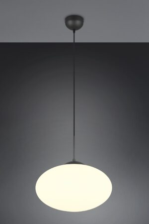 Κρεμαστό Φωτιστικό Μαύρο Ματ & Οπάλ Γυαλί FOMENTO 1xE27 Φ40 Trio Lighting – 363190132