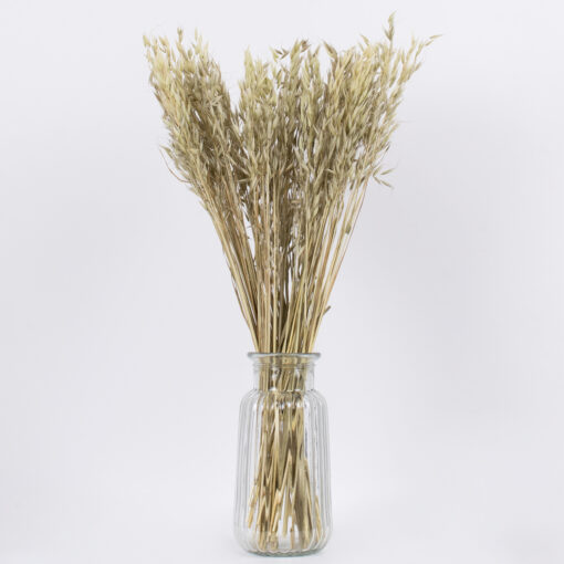 GloboStar® WILDOAT 36501 Αποξηραμένο Φυτό Αγριοβρώμη – Μπουκέτο Διακοσμητικών Κλαδιών Μπεζ – Πράσινο Υ60cm