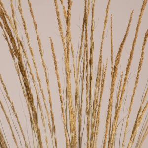 GloboStar® SMUTGRASS 36502 Αποξηραμένο Φυτό Χορταφιλιά – Μπουκέτο Διακοσμητικών Κλαδιών Μπεζ – Πράσινο Υ90cm