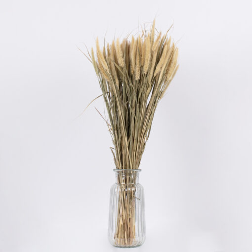 GloboStar® PENNISETUM 36503 Αποξηραμένο Φυτό Πεννήσιο – Μπουκέτο Διακοσμητικών Κλαδιών Μπεζ – Πράσινο Υ60cm