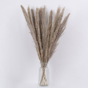 GloboStar® PAMPASGRASS 36511 Αποξηραμένο Φυτό Γρασίδι της Πάμπας – Μπουκέτο Διακοσμητικών Κλαδιών Καφέ – Γκρι Υ80cm