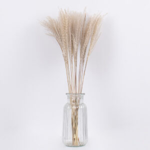 GloboStar® MISCANTHUS 36535 Αποξηραμένο Φυτό Μίσχανθος – Μπουκέτο Διακοσμητικών Κλαδιών Μπεζ Υ60cm