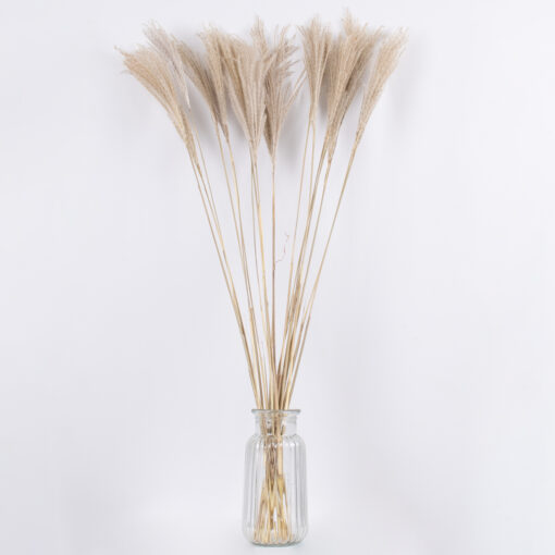 GloboStar® MISCANTHUS 36537 Αποξηραμένο Φυτό Μίσχανθος – Μπουκέτο Διακοσμητικών Κλαδιών Μπεζ Υ100cm