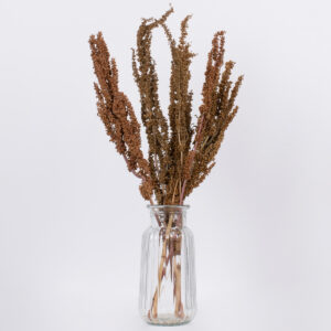 GloboStar® CURLYDOCK 36541 Αποξηραμένο Φυτό Αγριολάπαθο – Μπουκέτο Διακοσμητικών Κλαδιών Μπεζ – Καφέ Υ60cm