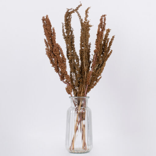 GloboStar® CURLYDOCK 36541 Αποξηραμένο Φυτό Αγριολάπαθο – Μπουκέτο Διακοσμητικών Κλαδιών Μπεζ – Καφέ Υ60cm