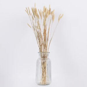 GloboStar® FOUNTAINGRASS 36542 Αποξηραμένο Φυτό Πεννίζετο – Μπουκέτο Διακοσμητικών Κλαδιών Μπεζ – Πράσινο Υ60cm