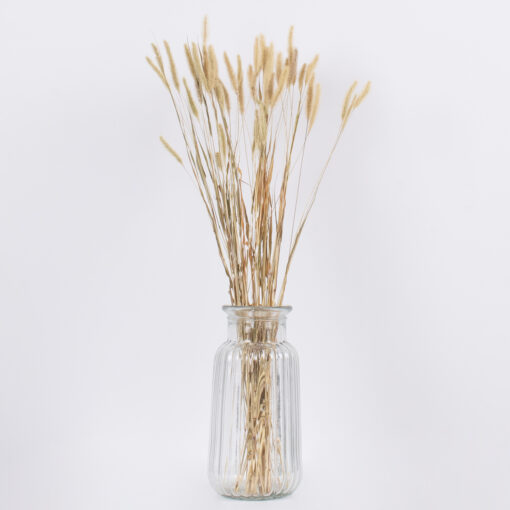 GloboStar® FOUNTAINGRASS 36542 Αποξηραμένο Φυτό Πεννίζετο – Μπουκέτο Διακοσμητικών Κλαδιών Μπεζ – Πράσινο Υ60cm