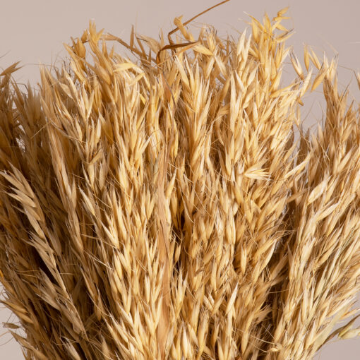 GloboStar® WILDOAT 36543 Αποξηραμένο Φυτό Αγριοβρώμη – Μπουκέτο Διακοσμητικών Κλαδιών Μπεζ Υ60cm