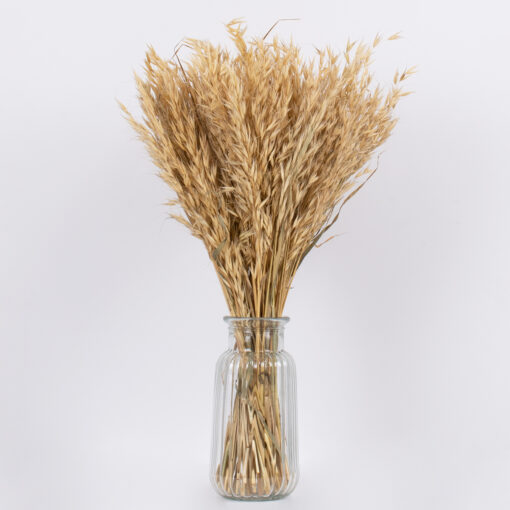 GloboStar® WILDOAT 36543 Αποξηραμένο Φυτό Αγριοβρώμη – Μπουκέτο Διακοσμητικών Κλαδιών Μπεζ Υ60cm