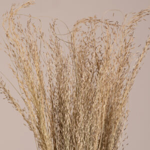 GloboStar® SILVERHAIRGRASS 36545 Αποξηραμένο Φυτό Ασημένια Χλόη – Μπουκέτο Διακοσμητικών Κλαδιών Μπεζ Υ60cm