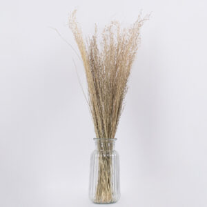 GloboStar® SILVERHAIRGRASS 36545 Αποξηραμένο Φυτό Ασημένια Χλόη – Μπουκέτο Διακοσμητικών Κλαδιών Μπεζ Υ60cm