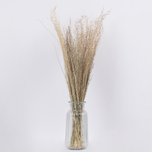 GloboStar® SILVERHAIRGRASS 36545 Αποξηραμένο Φυτό Ασημένια Χλόη – Μπουκέτο Διακοσμητικών Κλαδιών Μπεζ Υ60cm
