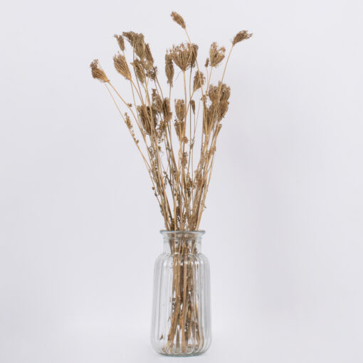 GloboStar® WILDCARROT 36546 Αποξηραμένο Φυτό Άγριο Καρότο – Μπουκέτο Διακοσμητικών Κλαδιών Μπεζ Υ60cm