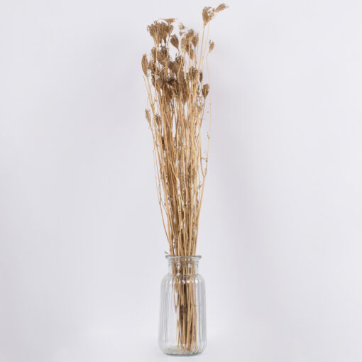 GloboStar® WILDCARROT 36547 Αποξηραμένο Φυτό Άγριο Καρότο – Μπουκέτο Διακοσμητικών Κλαδιών Μπεζ Υ80cm