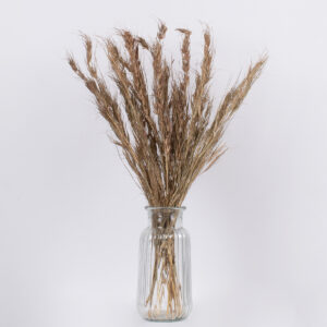 GloboStar® COLATAI 36549 Αποξηραμένο Φυτό Εράγρωστις – Μπουκέτο Διακοσμητικών Κλαδιών Μπεζ – Καφέ Υ60cm