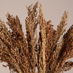 GloboStar® BROOMCORN 36553 Αποξηραμένο Φυτό Γλυκό Σόργο – Μπουκέτο Διακοσμητικών Κλαδιών Καφέ Υ60cm