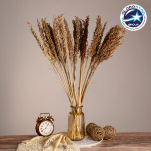 GloboStar® BROOMCORN 36554 Αποξηραμένο Φυτό Γλυκό Σόργο – Μπουκέτο Διακοσμητικών Κλαδιών Καφέ Υ80cm