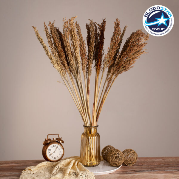 GloboStar® BROOMCORN 36554 Αποξηραμένο Φυτό Γλυκό Σόργο – Μπουκέτο Διακοσμητικών Κλαδιών Καφέ Υ80cm