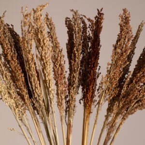 GloboStar® BROOMCORN 36554 Αποξηραμένο Φυτό Γλυκό Σόργο – Μπουκέτο Διακοσμητικών Κλαδιών Καφέ Υ80cm