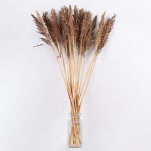 GloboStar® BROOMCORN 36555 Αποξηραμένο Φυτό Γλυκό Σόργο – Μπουκέτο Διακοσμητικών Κλαδιών Καφέ Υ100cm