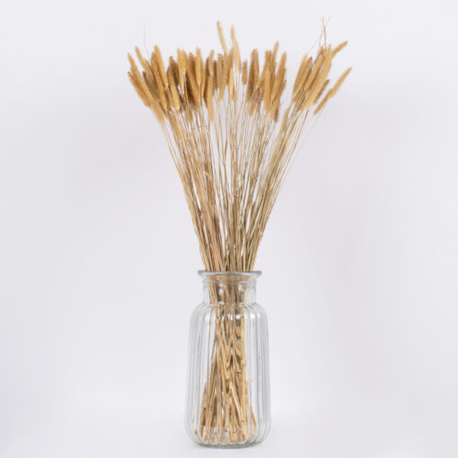 GloboStar® SETARIA 36557 Αποξηραμένο Φυτό Σεταρία – Μπουκέτο Διακοσμητικών Κλαδιών Μπεζ Υ60cm