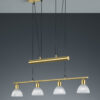 Κρεμαστό Φωτιστικό Trio Lighting LED 5W E14 Ορείχαλκος Ματ Μεταλλικό 400lm 3000K  371010408