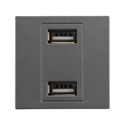 ΠΡΙΖΑ 2 Χ USB MODULES ΓΡΑΦΙΤΗΣ EUROLAMP – 152-20458