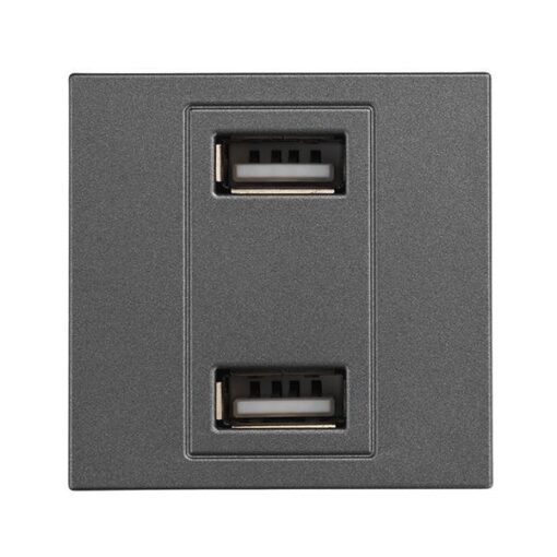 ΠΡΙΖΑ 2 Χ USB MODULES ΓΡΑΦΙΤΗΣ EUROLAMP – 152-20458