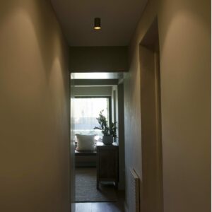 STAN CEILING LAMP BLACK 1xGU10                    FARO – 43747