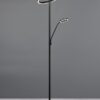 Φωτιστικό Δαπέδου Μαύρο Ματ WILLIS LED 44W 5150lm CCT Dimmable Trio Lighting – 449510232