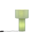 Επιτραπέζιο Φωτιστικό Trio Lighting 2xE27 Πράσινου Χρώματος – 505200149