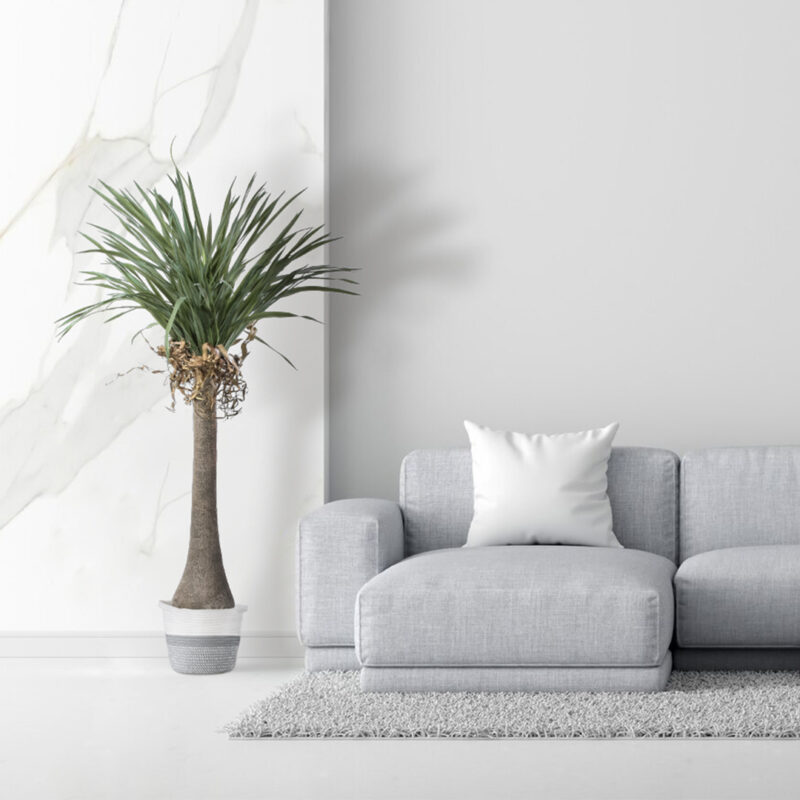 GloboStar® Artificial Garden POSITANO 20319 Διακοσμητικό Πλεκτό Καλάθι – Κασπώ Γλάστρα – Flower Pot Γκρι με Λευκό Φ25cm x Υ25cm