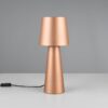 Πορτατίφ Καφέ Μεταλλικό NUBIAN 1xE27 Trio Lighting – 562900165