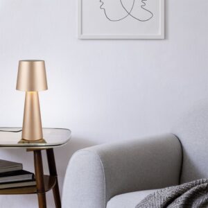 Πορτατίφ Καφέ Μεταλλικό NUBIAN 1xE27 Trio Lighting – 562900165