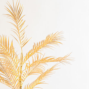 ΧΡΥΣΟ ΔΕΝΤΡΟ ΦΤΕΡΗ 1,2m, ΜΕΤΑΣΧΗΜΑΤΙΣΤΗΣ, 80 ΘΕΡΜΑ ΛΕΥΚΑ MINI LED, ΠΡΟΕΚΤΑΣΗ ΠΑΡΟΧΗΣ 3m, IP44 EUROLAMP – 600-30579