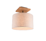 Φωτιστικό Οροφής Trio Lighting   E27 Νίκελ Αντικέ Μεταλλικό    602100130