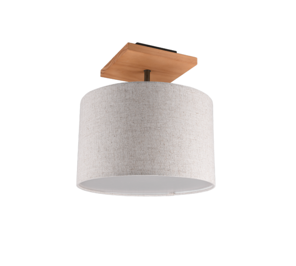 Φωτιστικό Οροφής Trio Lighting   E27 Νίκελ Αντικέ Μεταλλικό    602100130