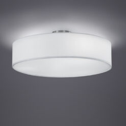 Φωτιστικό Οροφής Trio Lighting   E27 Νίκελ Ματ Μεταλλικό    603900301