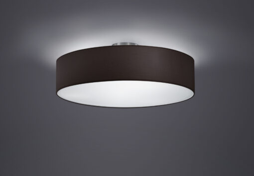 Φωτιστικό Οροφής Trio Lighting   E27 Νίκελ Ματ Μεταλλικό    603900302