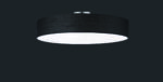 Φωτιστικό Οροφής Trio Lighting   E27 Νίκελ Ματ Μεταλλικό    603900502