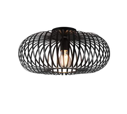 Φωτιστικό Οροφής Trio Lighting E27   Μαύρο Ματ Μεταλλικό    – 606900132