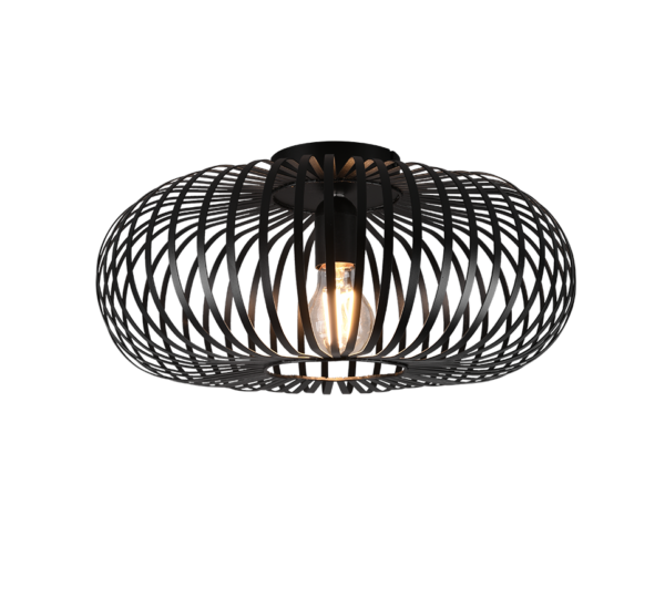 Φωτιστικό Οροφής Trio Lighting E27   Μαύρο Ματ Μεταλλικό    – 606900132