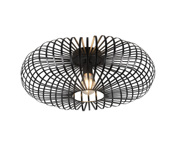 Φωτιστικό Οροφής Trio Lighting E27   Μαύρο Ματ Μεταλλικό    – 606905032