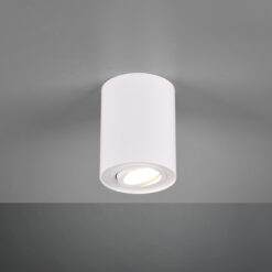 Φωτιστικό Οροφής Trio Lighting GU10 Λευκό Ματ Μεταλλικό 612900131