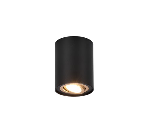 Φωτιστικό Σποτ Οροφής Trio Lighting 1xGU10 Μαύρου Χρώματος – 612900180